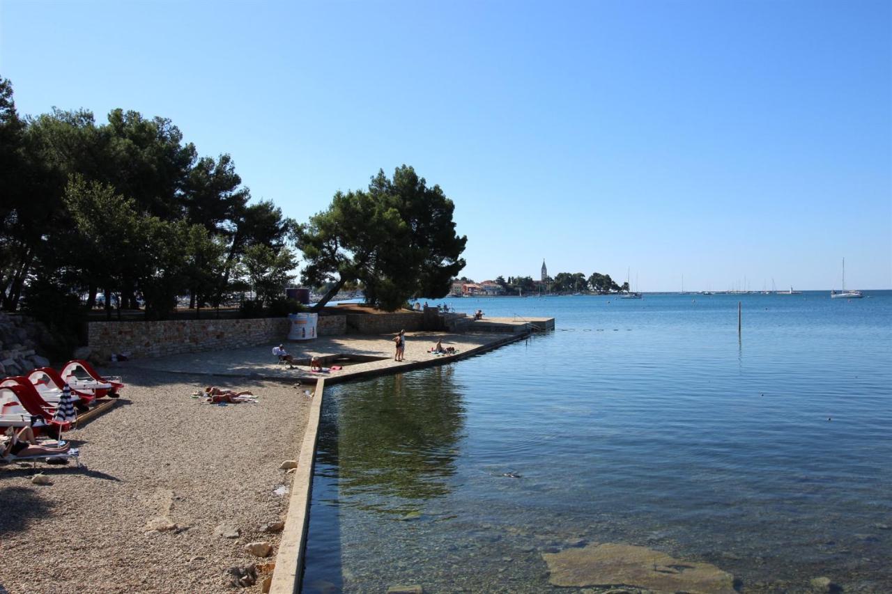 Irena A2 Apartment Novigrad  ภายนอก รูปภาพ