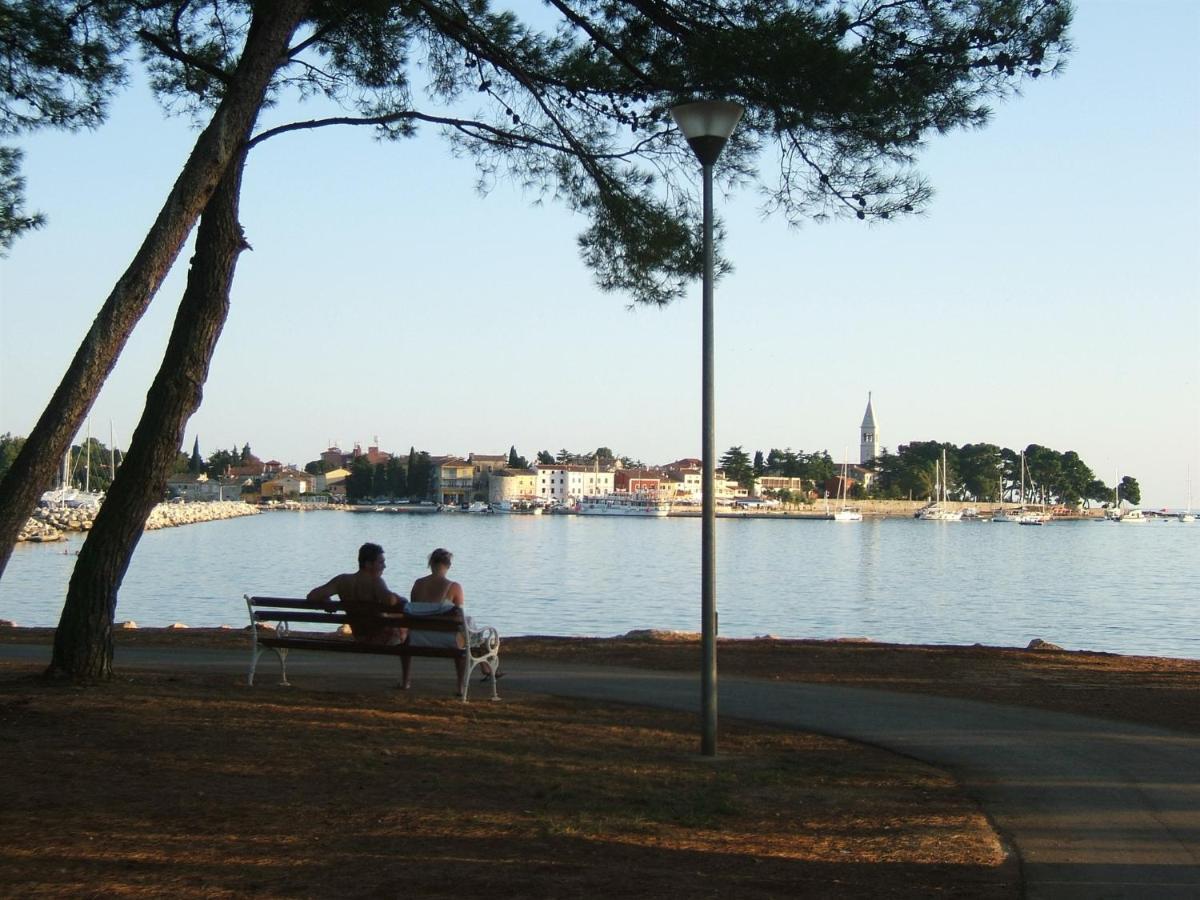 Irena A2 Apartment Novigrad  ภายนอก รูปภาพ