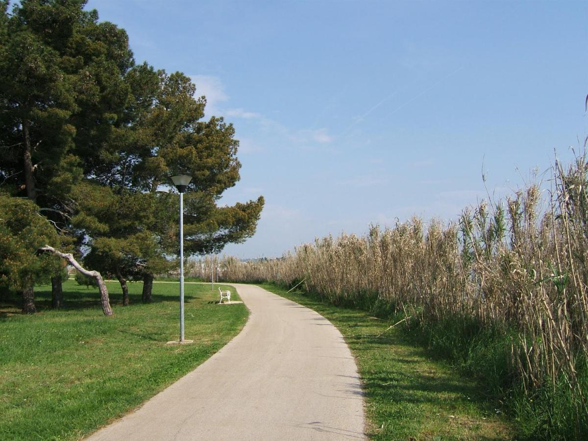 Irena A2 Apartment Novigrad  ภายนอก รูปภาพ